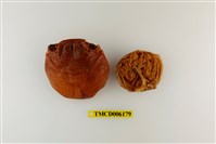 藏品(細紋方蟹)的圖片